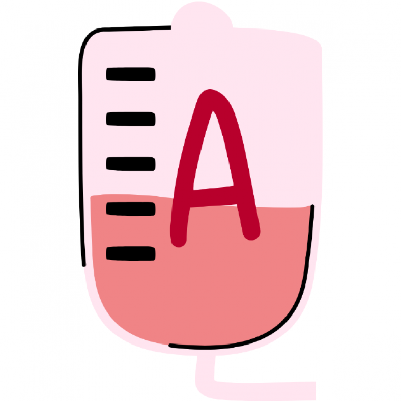 DIET GOLONGAN DARAH A , KONSUMSI INI