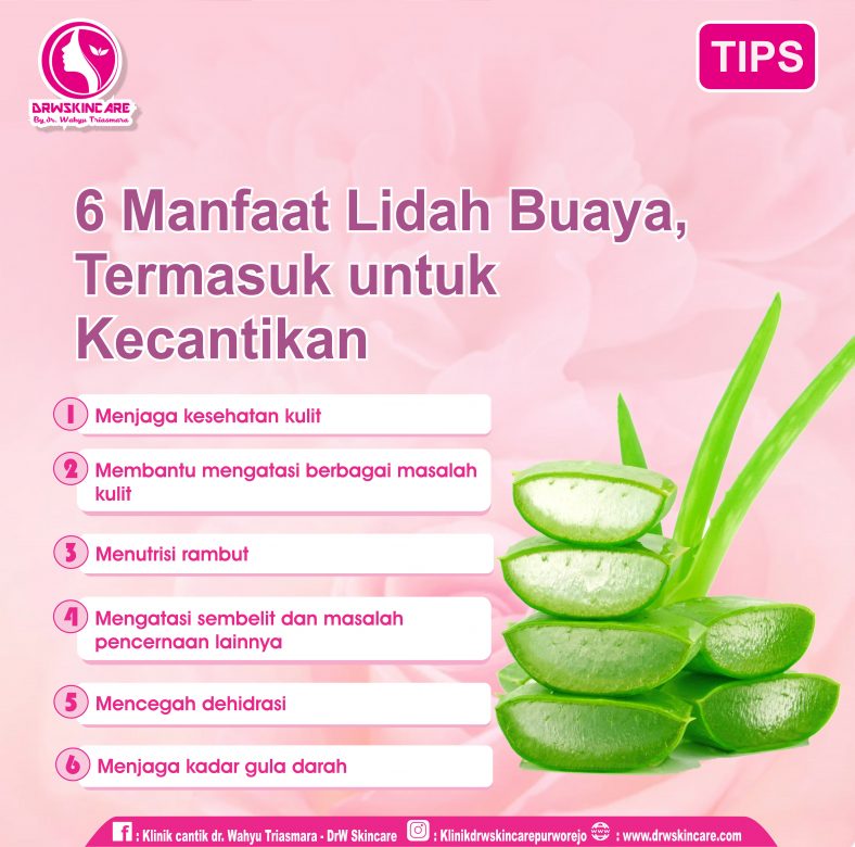6 Manfaat Lidah Buaya, Termasuk untuk Kecantikan