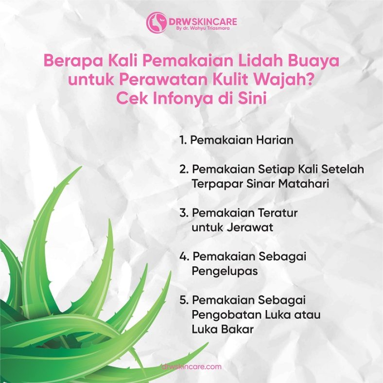 Berapa Kali Pemakaian Lidah Buaya untuk Perawatan Kulit Wajah? Cek Infonya di Sini