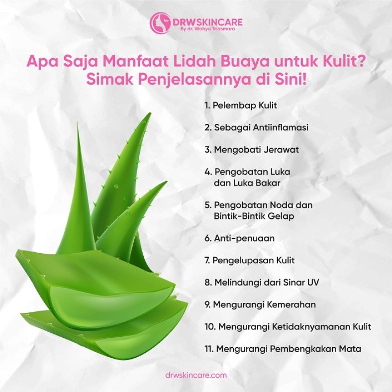 Apa Saja Manfaat Lidah Buaya untuk Kulit? Simak Penjelasannya di Sini!